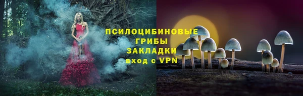 эйфоретик Алексеевка