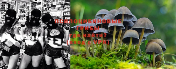 бутират Алзамай