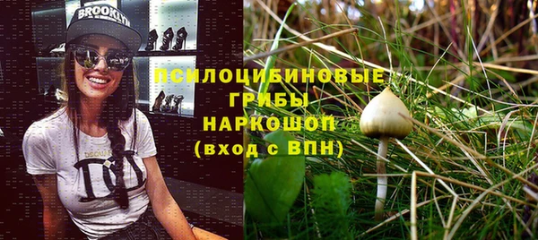бутират Алзамай
